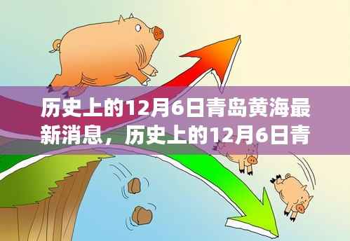 历史上的12月6日青岛黄海事件深度解读，最新消息与启示剖析