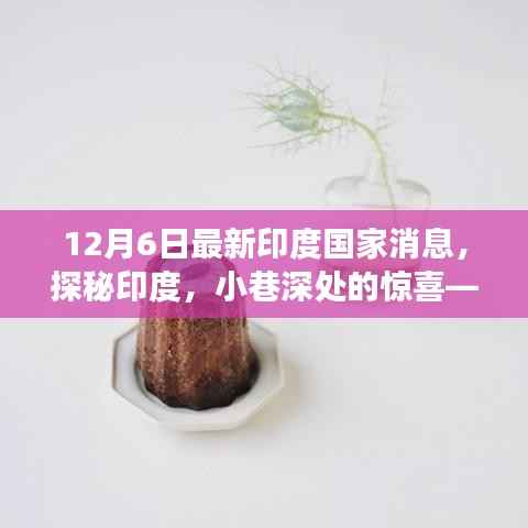 探秘印度小巷深处的独特小店，最新国家消息与惊喜故事