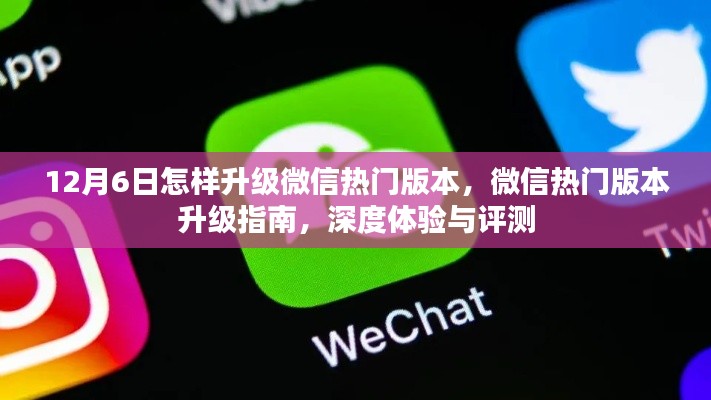 微信热门版本升级指南,深度体验评测与升级步骤(12月6日版)