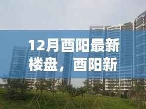 酉阳最新楼盘里的温情故事与家的日常陪伴