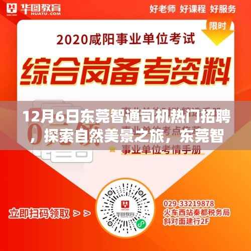 东莞智通司机招聘日,探索自然美景之旅,启程寻找内心的宁静与平和