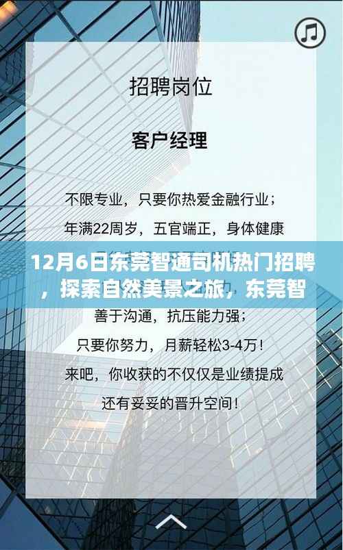 东莞智通司机招聘日,探索自然美景之旅,启程寻找内心的宁静与平和