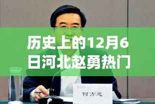 河北赵勇事件深度解析，历史背景与观点探究