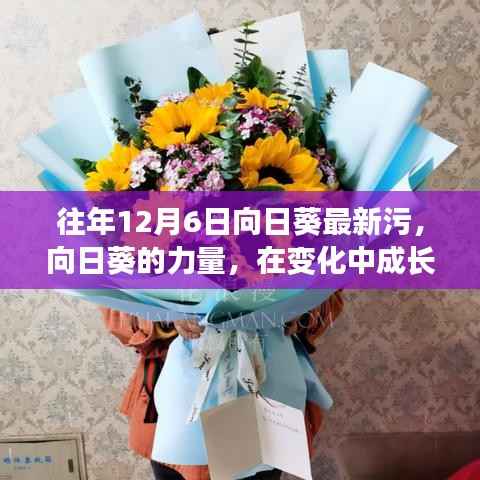 向日葵的力量，成长、变化与学习的光芒照亮未来之路