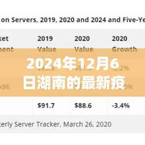 湖南新曙光，疫情下的自然之旅与内心力量的寻找，最新疫情动态报告（XXXX年XX月XX日）