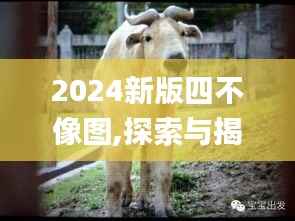 2024新版四不像图,探索与揭秘_FHD6.216
