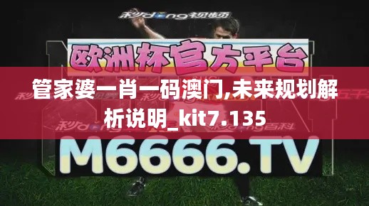 管家婆一肖一码澳门,未来规划解析说明_kit7.135