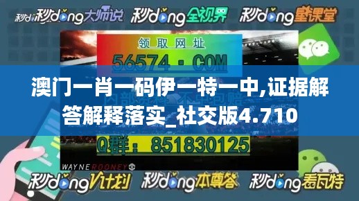 澳门一肖一码伊一特一中,证据解答解释落实_社交版4.710
