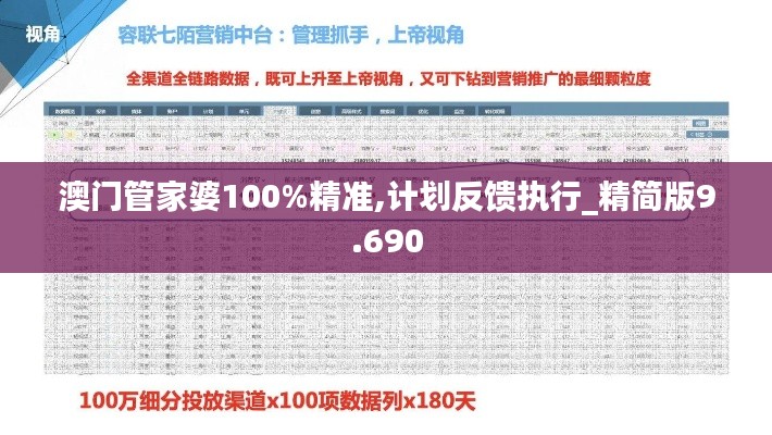 澳门管家婆100%精准,计划反馈执行_精简版9.690