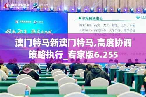 澳门特马新澳门特马,高度协调策略执行_专家版6.255