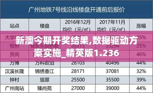 新澳今期开奖结果,数据驱动方案实施_精英版1.236