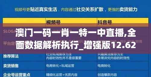 澳门一码一肖一特一中直播,全面数据解析执行_增强版12.623