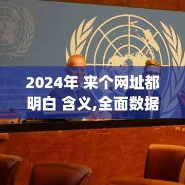 2024年 来个网址都明白 含义,全面数据执行方案_6DM6.403
