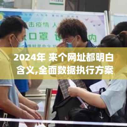 2024年 来个网址都明白 含义,全面数据执行方案_6DM6.403
