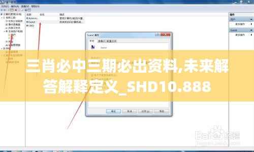 三肖必中三期必出资料,未来解答解释定义_SHD10.888