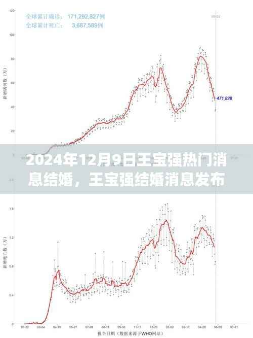 王宝强结婚消息全程见证,从关注到幸福的参与之路(2024年12月9日)