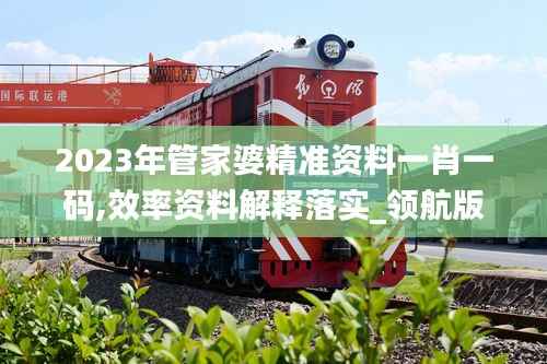 2023年管家婆精准资料一肖一码,效率资料解释落实_领航版5.859