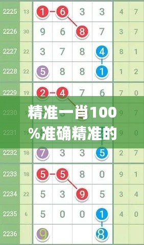 精准一肖100%准确精准的含义,时代资料解释落实_经典款8.355
