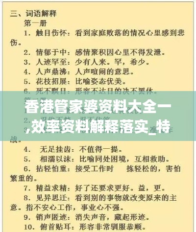 香港管家婆资料大全一,效率资料解释落实_特别版4.699