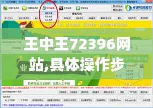 王中王72396网站,具体操作步骤指导_专家版7.600