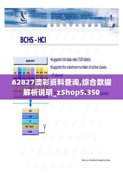 62827澳彩资料查询,综合数据解析说明_zShop5.350