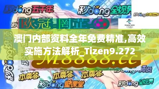 澳门内部资料全年免费精准,高效实施方法解析_Tizen9.272