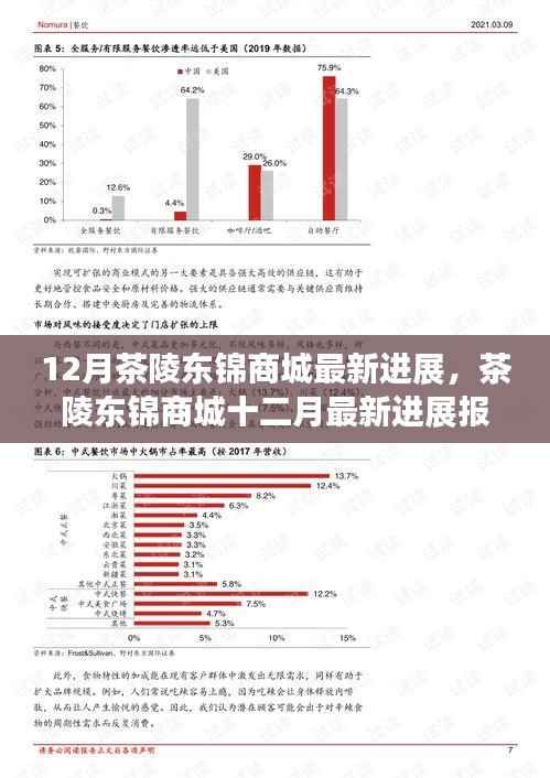 茶陵东锦商城十二月最新进展报告，揭秘最新进展动态