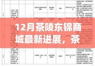 茶陵东锦商城十二月最新进展报告,揭秘最新进展动态