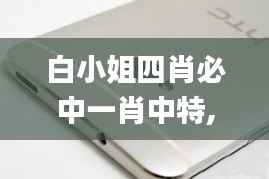 白小姐四肖必中一肖中特,系统解答解释落实_Pixel19.106
