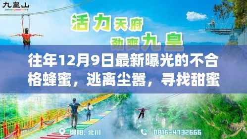 不合格蜂蜜的秘密,探寻甜蜜秘境的旅行故事