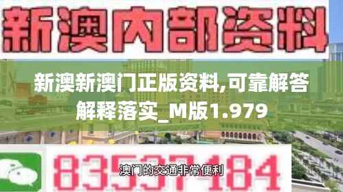 新澳新澳门正版资料,可靠解答解释落实_M版1.979