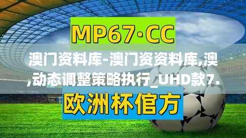 澳门资料库-澳门资资料库,澳,动态调整策略执行_UHD款7.404