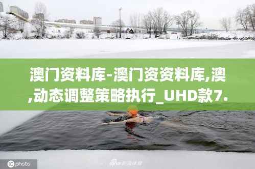 澳门资料库-澳门资资料库,澳,动态调整策略执行_UHD款7.404