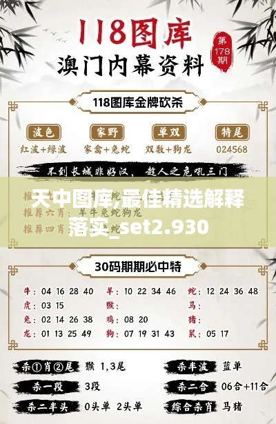 天中图库,最佳精选解释落实_set2.930