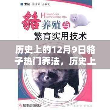 揭秘历史上的貉子养殖秘籍,12月9日的最佳养法揭秘,初学者轻松掌握养貉秘籍!