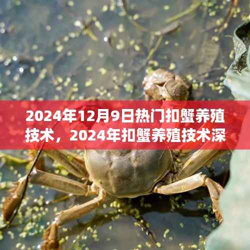 2024年扣蟹养殖技术深度解析,特性、体验、竞争态势与用户洞察