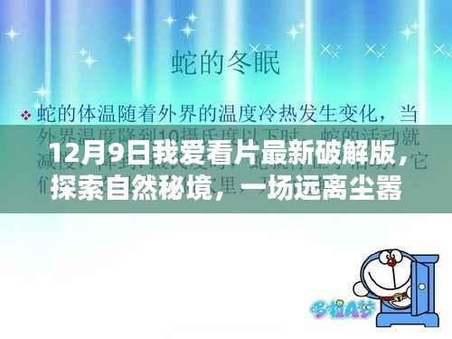 揭秘自然秘境,与最新破解版我爱看片的奇妙心灵之旅