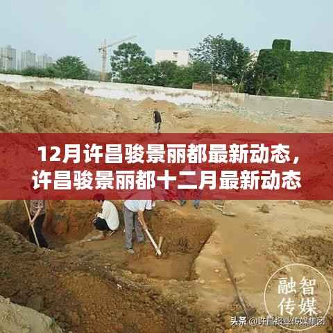 12月许昌骏景丽都最新动态,许昌骏景丽都十二月最新动态及其影响,深度分析与观点阐述