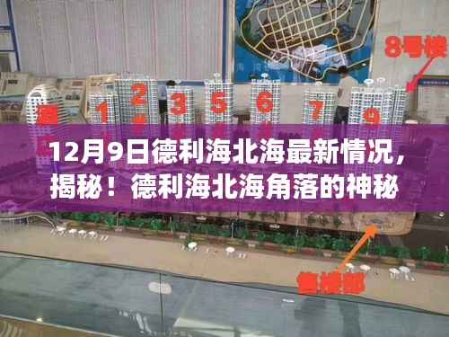 12月9日德利海北海最新情况,揭秘!德利海北海角落的神秘宝藏,巷弄深处的特色小店