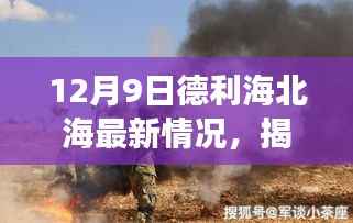 12月9日德利海北海最新情况,揭秘!德利海北海角落的神秘宝藏,巷弄深处的特色小店