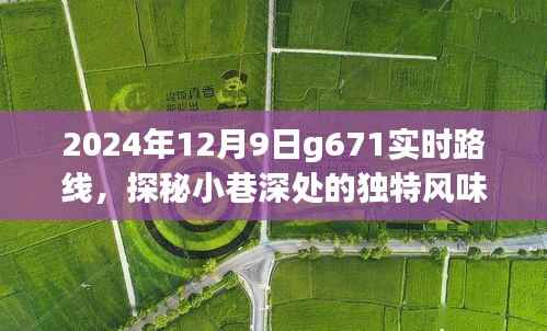 探秘繁华背后的G671特色小店,2024年12月9日G671实时路线之旅。