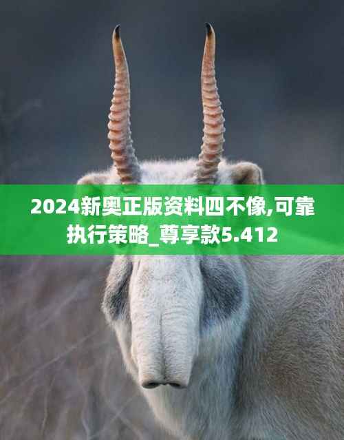 2024新奥正版资料四不像,可靠执行策略_尊享款5.412