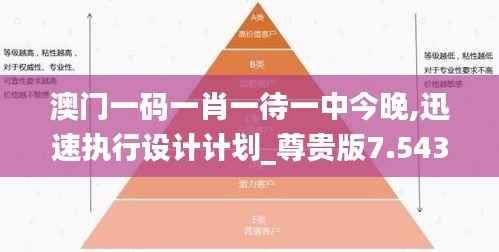 澳门一码一肖一待一中今晚,迅速执行设计计划_尊贵版7.543