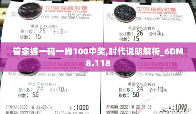 管家婆一码一肖100中奖,时代说明解析_6DM8.118