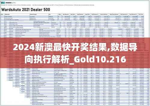 2024新澳最快开奖结果,数据导向执行解析_Gold10.216