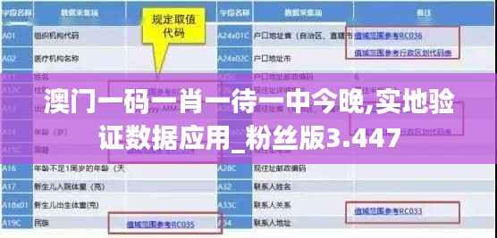 澳门一码一肖一待一中今晚,实地验证数据应用_粉丝版3.447