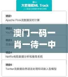 澳门一码一肖一待一中今晚,实地验证数据应用_粉丝版3.447