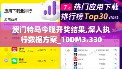 澳门特马今晚开奖结果,深入执行数据方案_10DM3.330