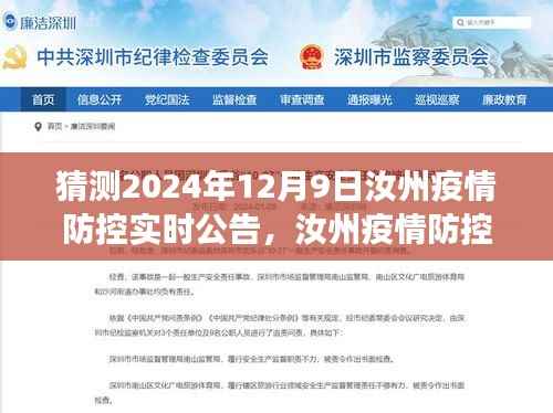 猜测2024年12月9日汝州疫情防控实时公告，汝州疫情防控实时公告预测，2024年12月9日的防控进展与策略调整