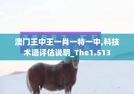 澳门王中王一肖一特一中,科技术语评估说明_The1.513